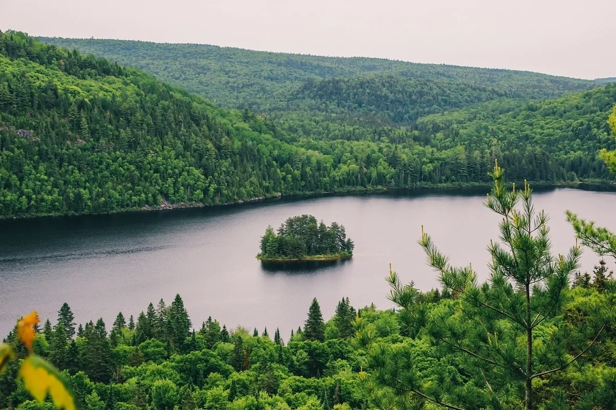 L'île aux pins dans le parc de la Mauricie