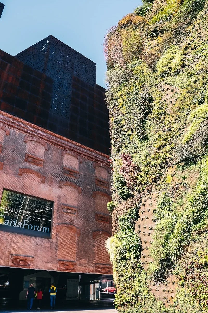Mur végétal à Madrid