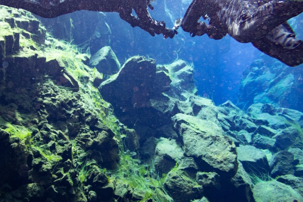 Snorkeling à Silfra dans le cercle d'or