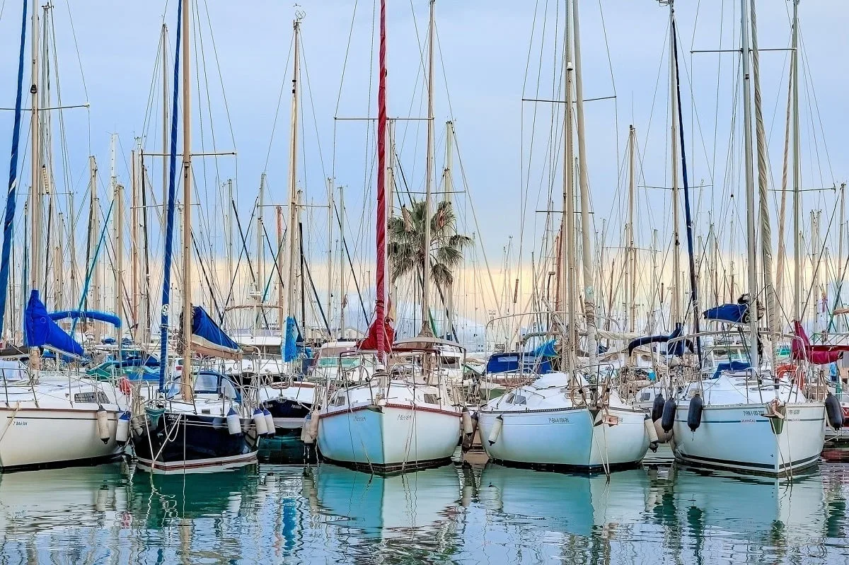 La marina dans la baie de Palma de Majorque