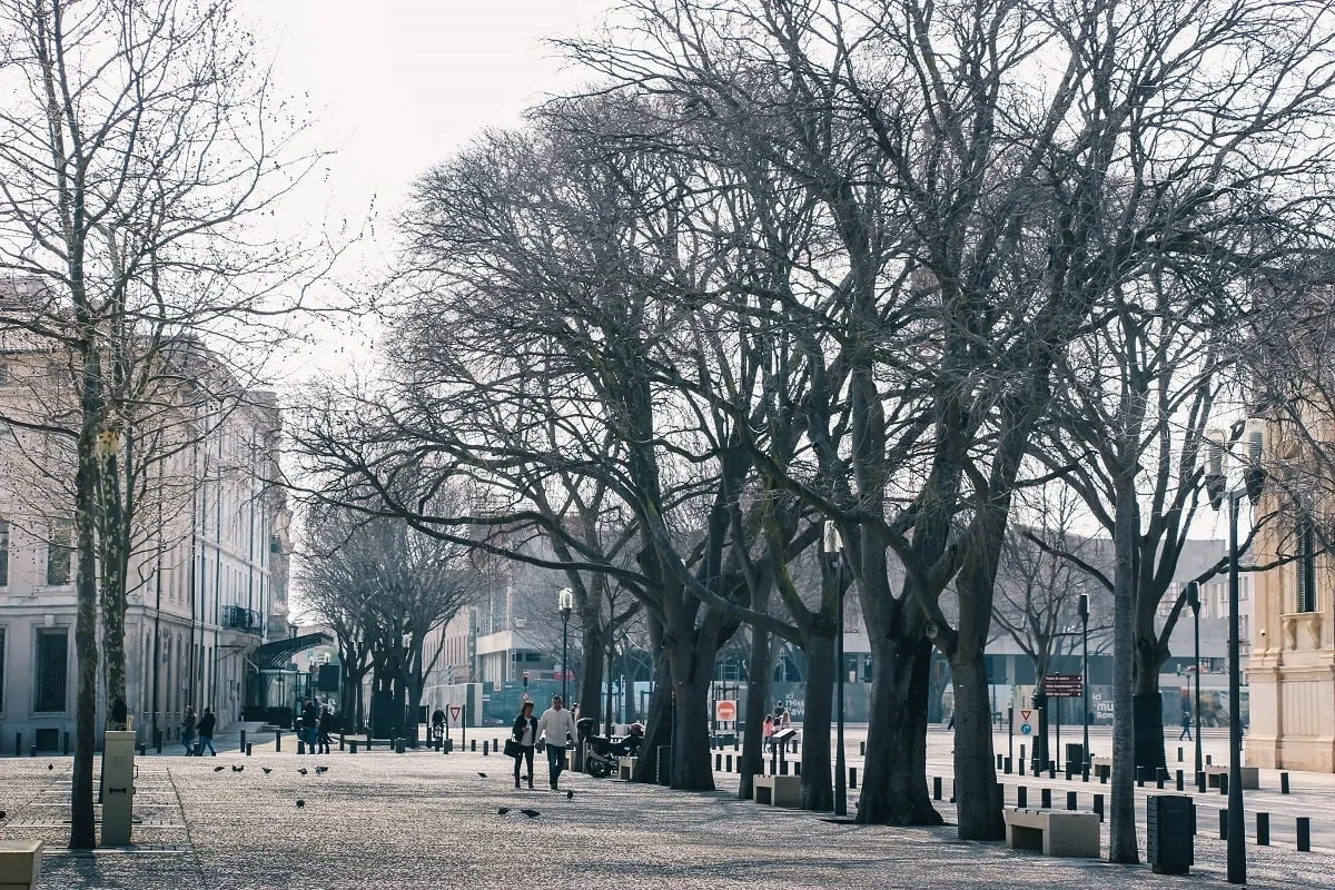 L'esplanade de Nîmes