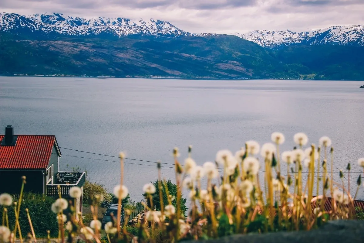 Le fjord Hardanger en Norvège