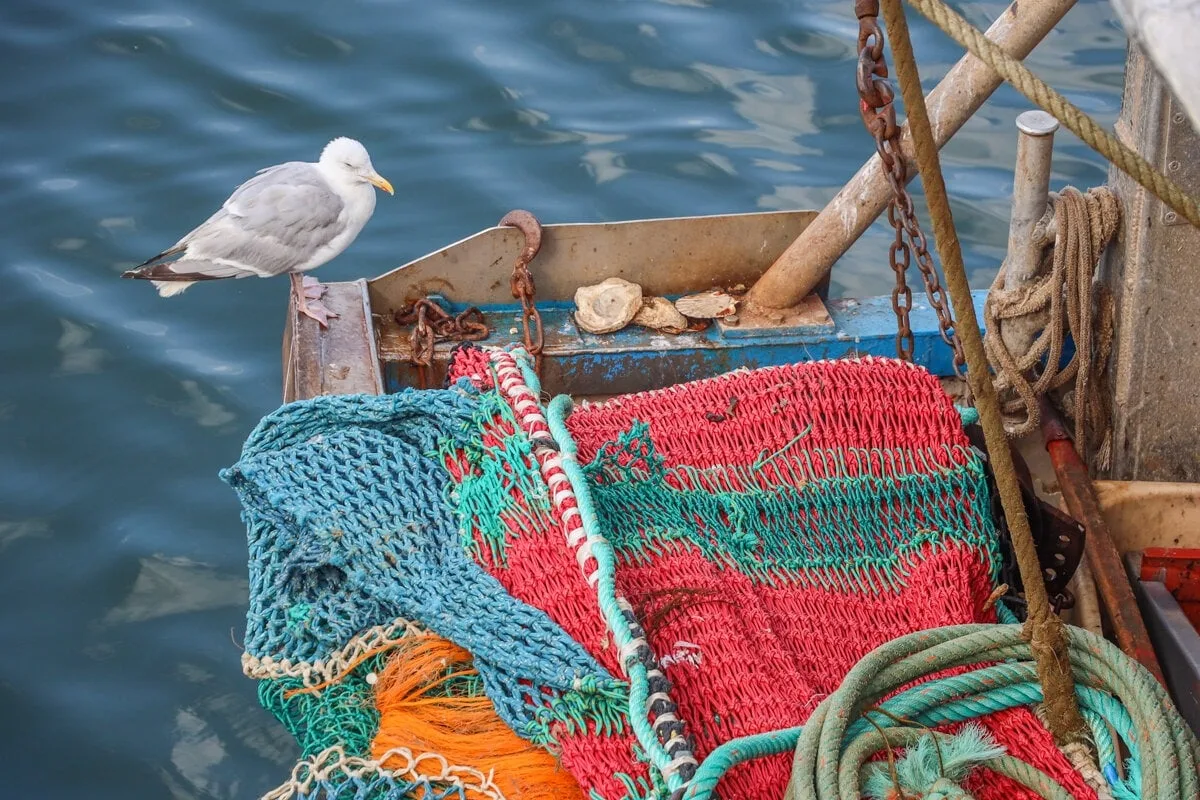 Filets de pêche d'un bateau à Boulogne sur Mer
