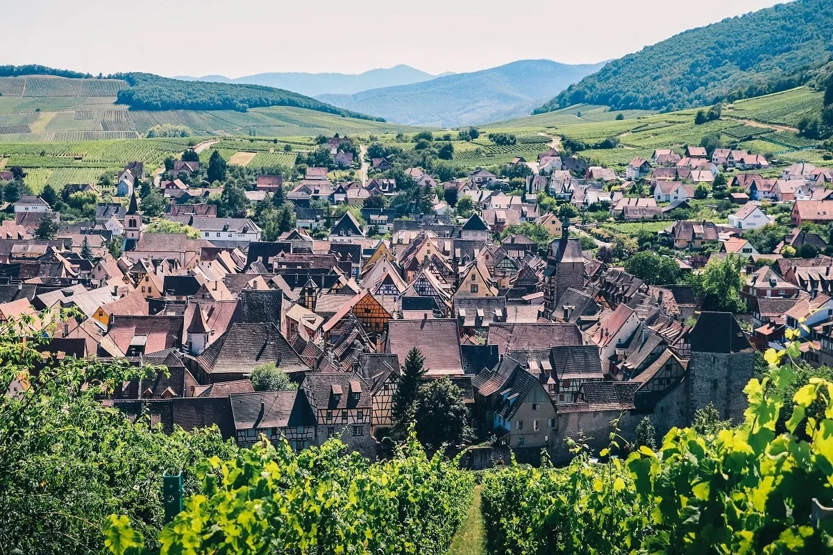 Riquewihr et ses vignes
