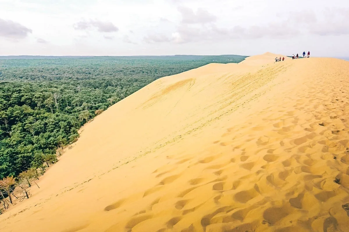 Au sommet de la dune du Pilat