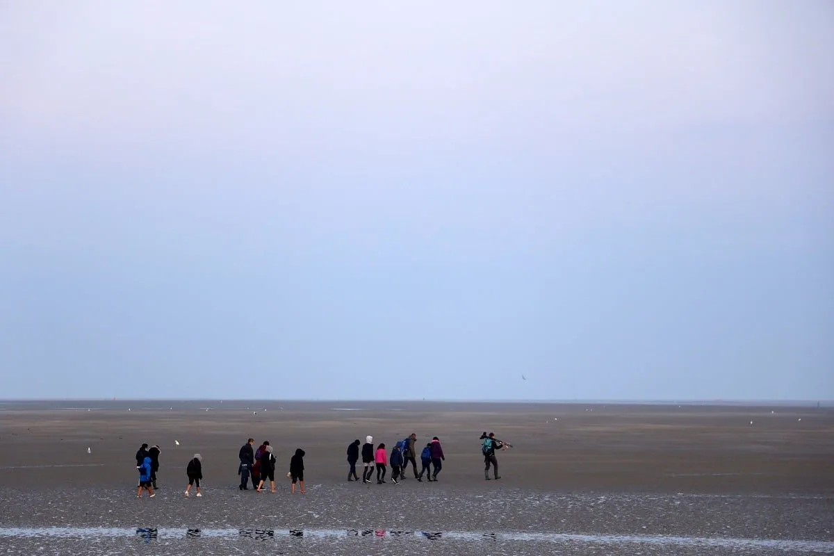 Randonnée guidée dans la baie de Somme