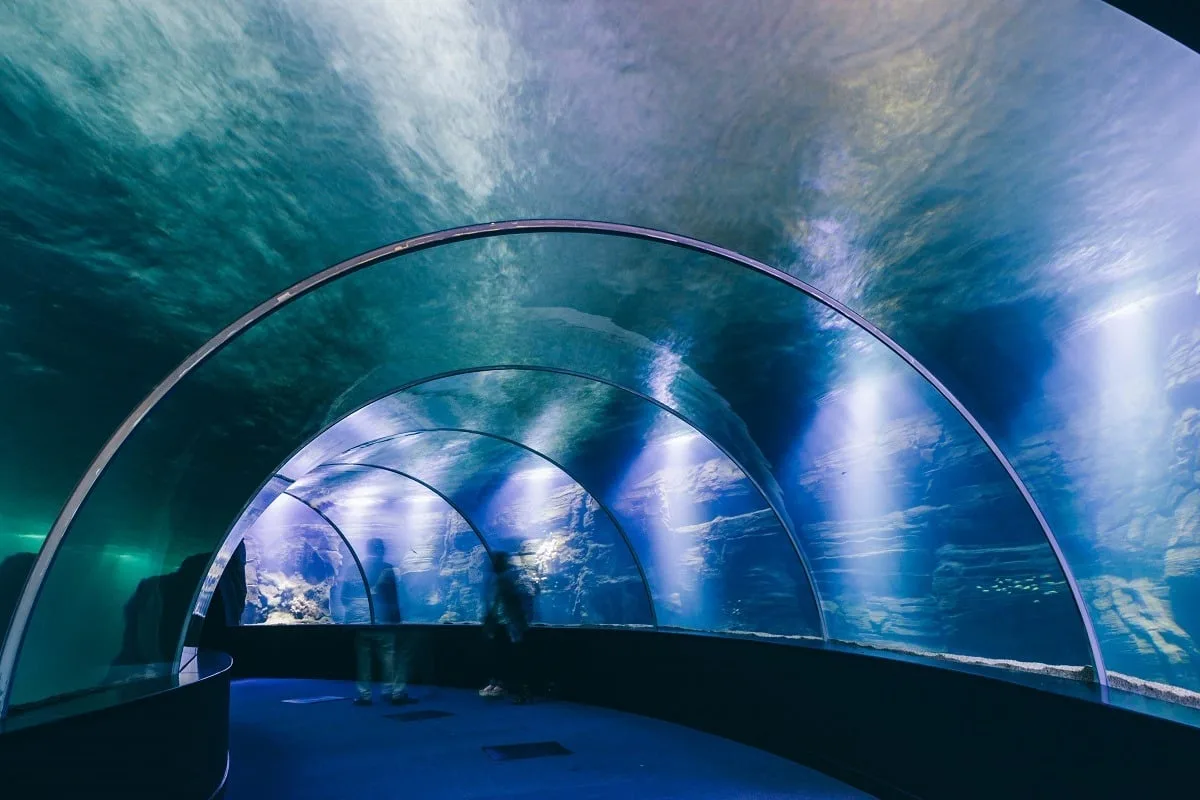 L'aquarium tunnel de verre