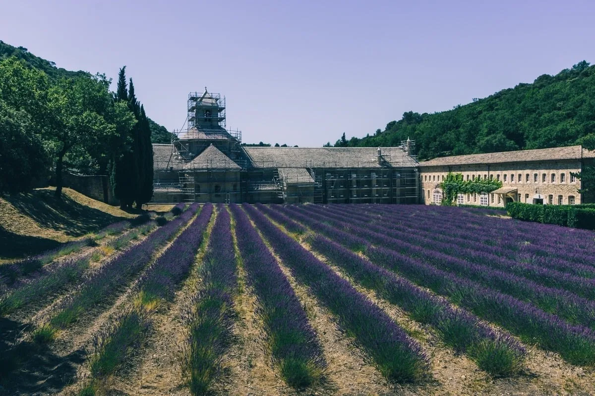 Abbaye de Sénanque