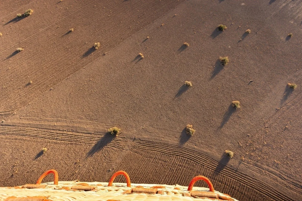Végétation vue depuis une nacelle