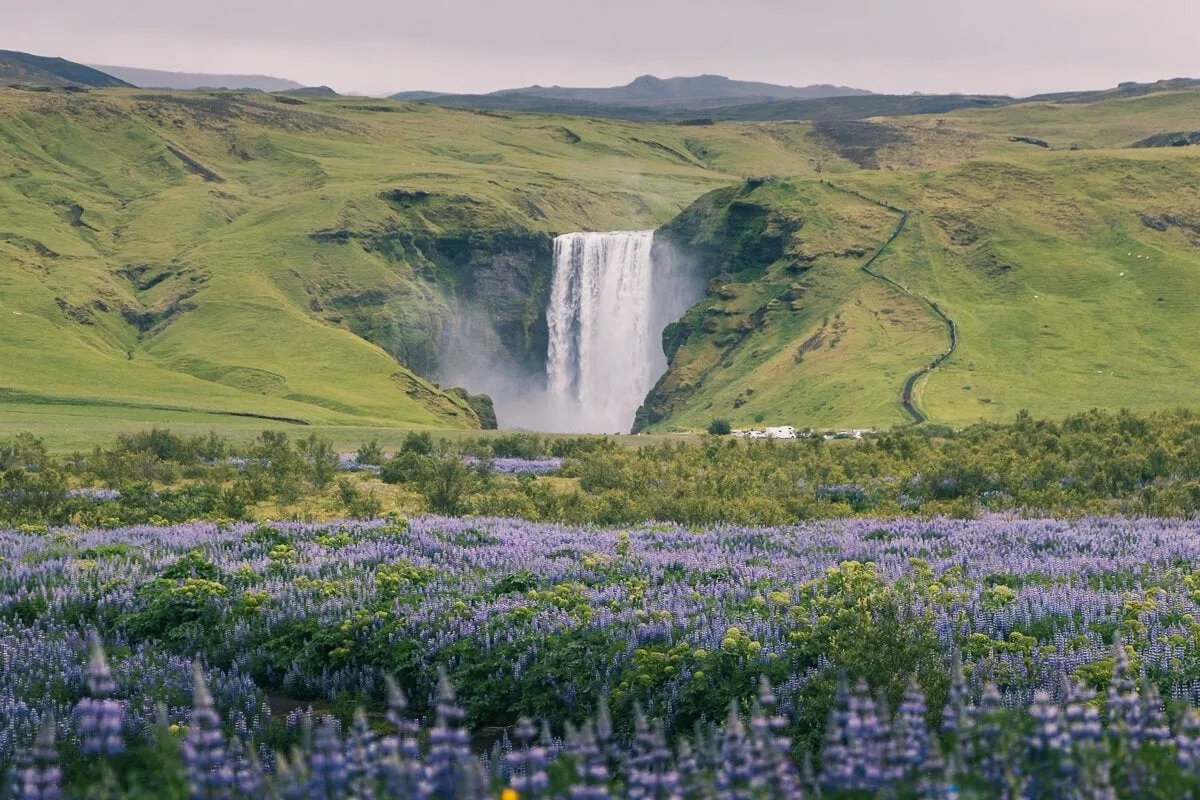 Paysage dans le sud de l'Islande