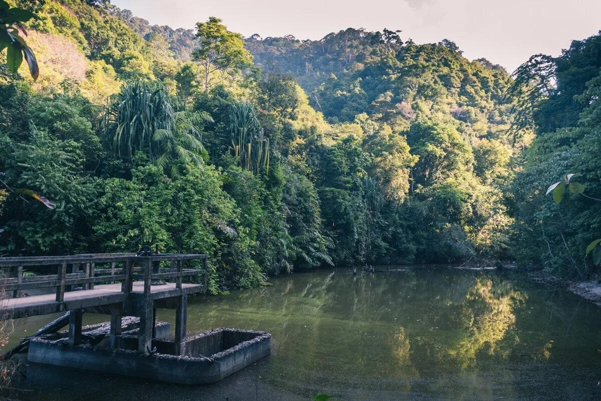 Dans la jungle à Koh Lanta