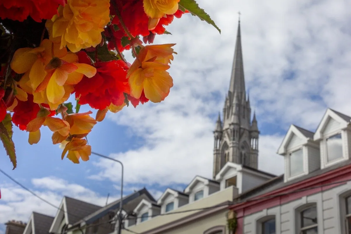 Fleurs au premier plan, maisons, et clocher de la cathédrale