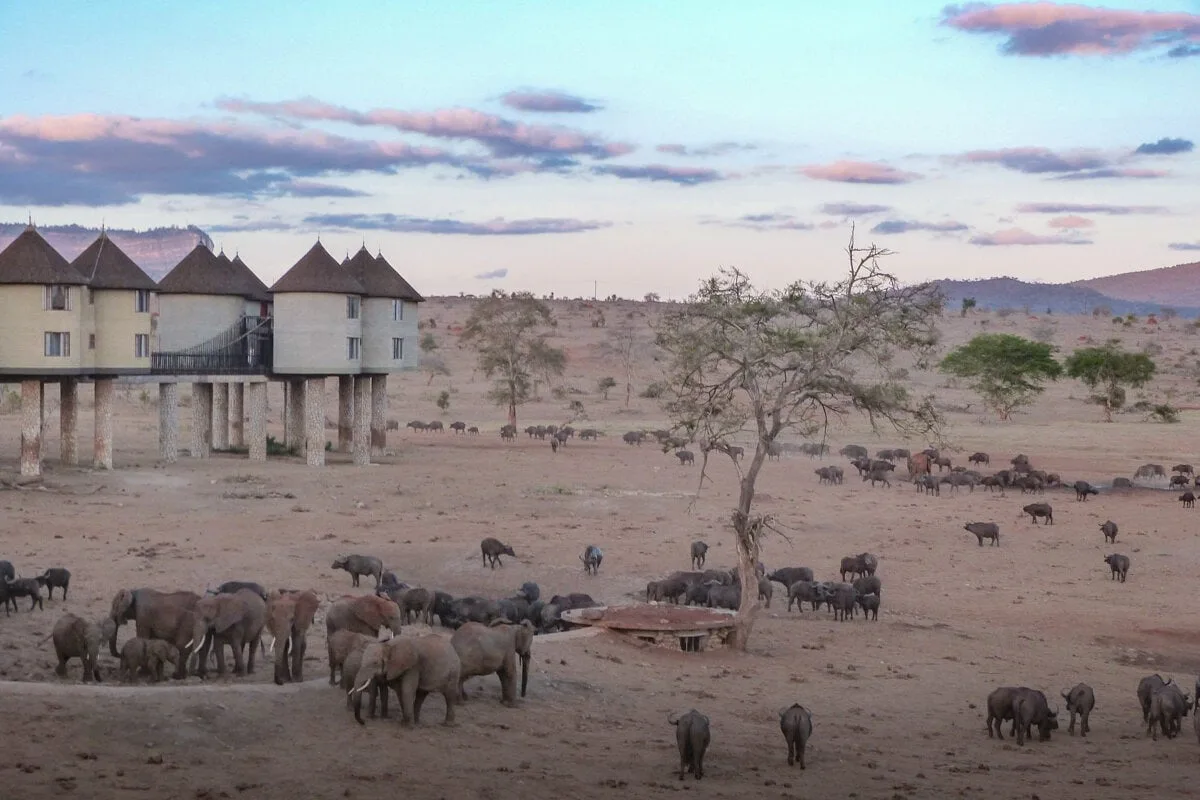 Lodge sur pilotis à Tsavo Ouest