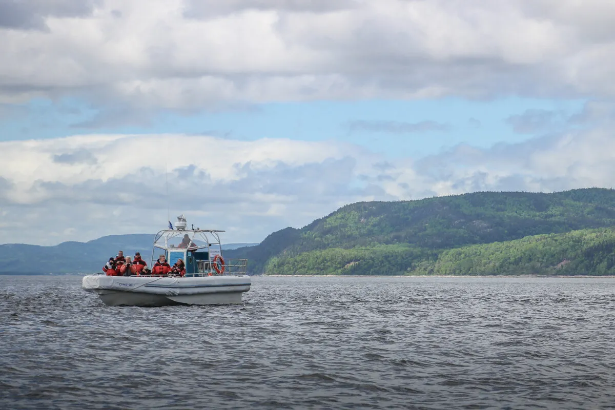Zodiac avec passagers sur l'eau