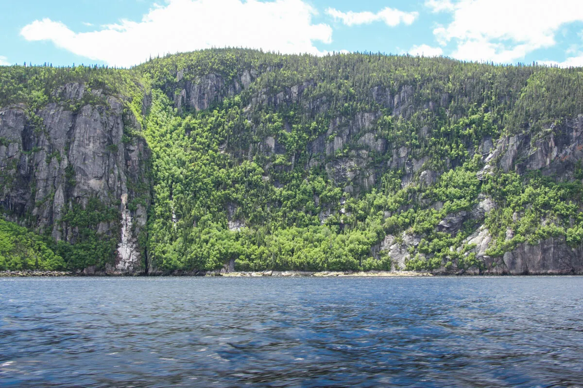 Falaises verdoyantes en bordure d'un fjord