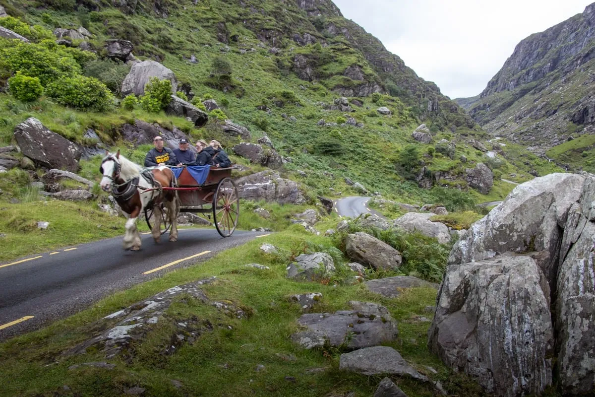 Calèche tirée par un cheval sur une route sinueuse entre des montagnes verdoyantes