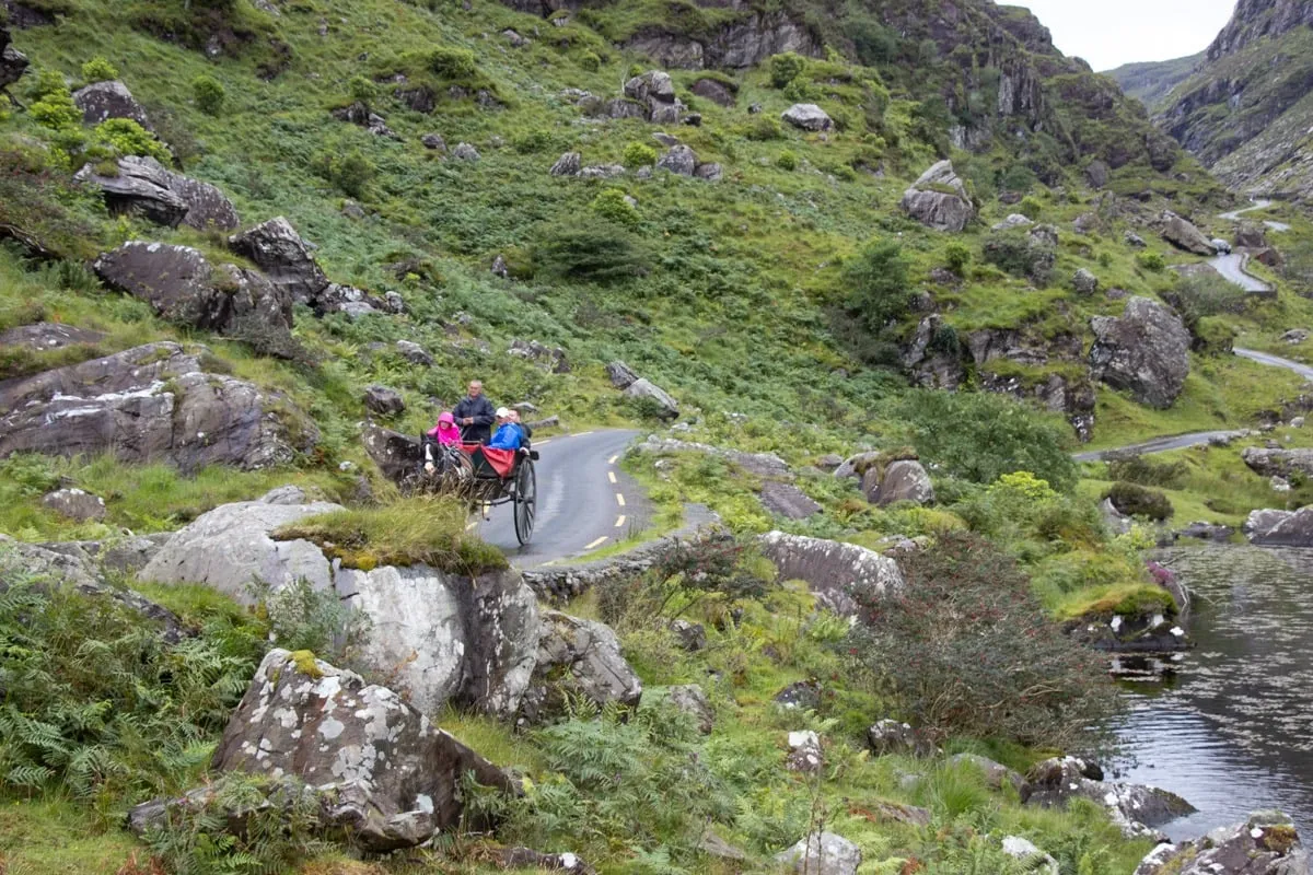 Calèche avec passagers sur une route étroite en vallée rocheuse verdoyante
