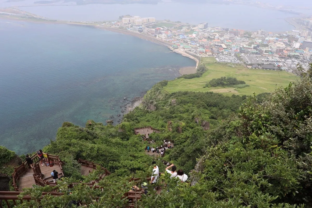 Escaliers en bois descendant une colline verdoyante vers la mer et une ville côtière