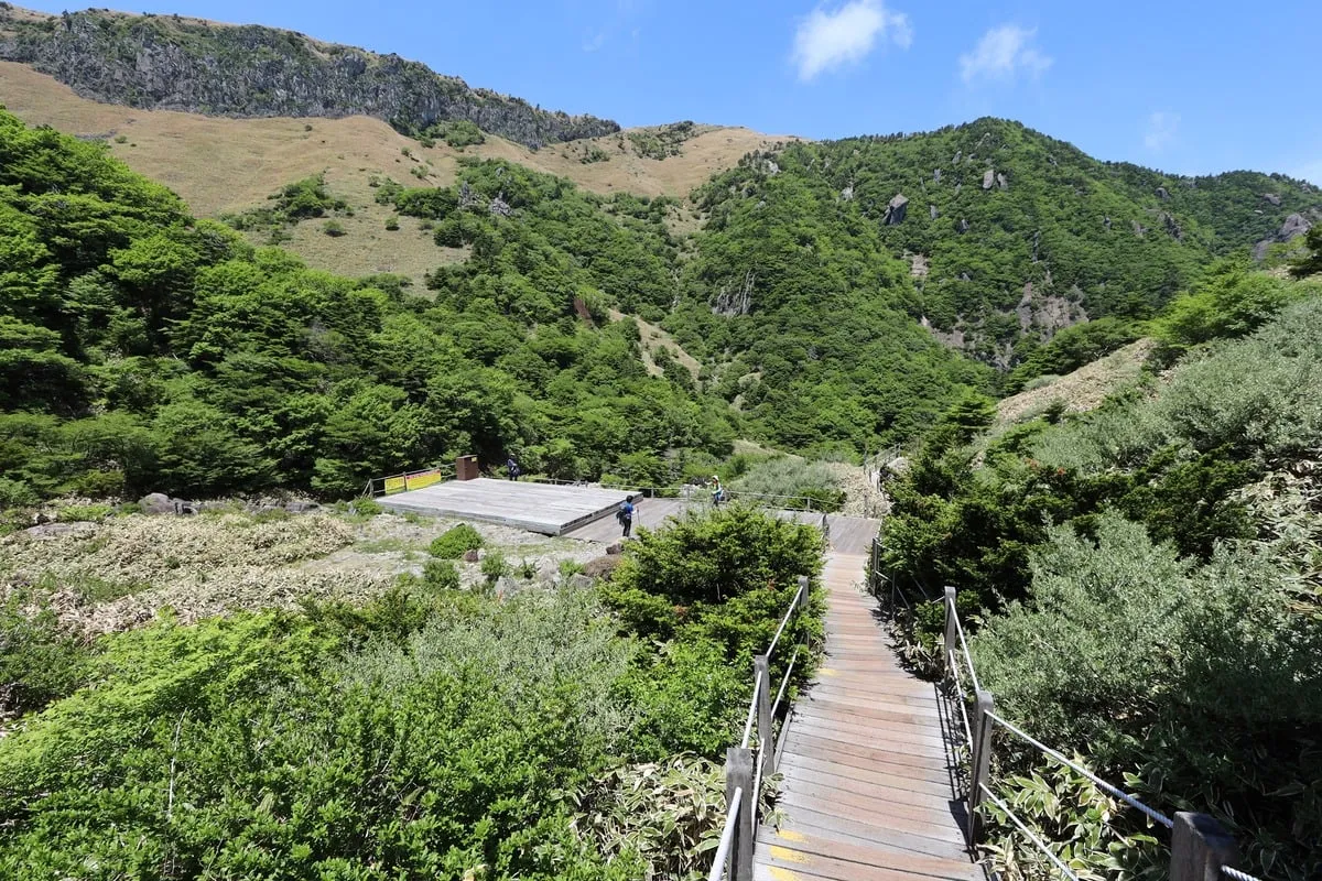 Passerelle en bois descendant vers un belvédère entouré de montagnes verdoyantes