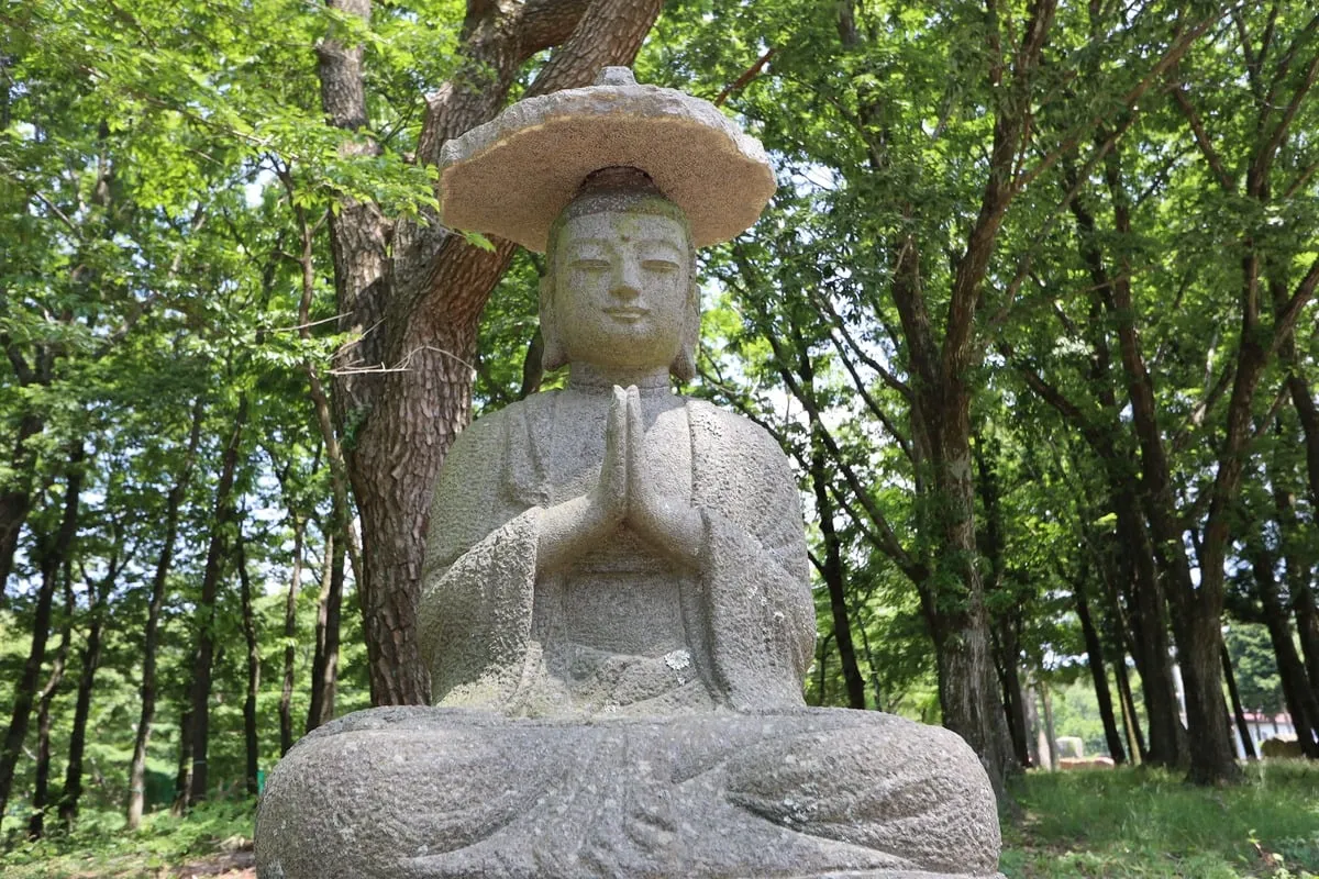 Statue de bouddha en pierre en position de prière entourée d'arbres