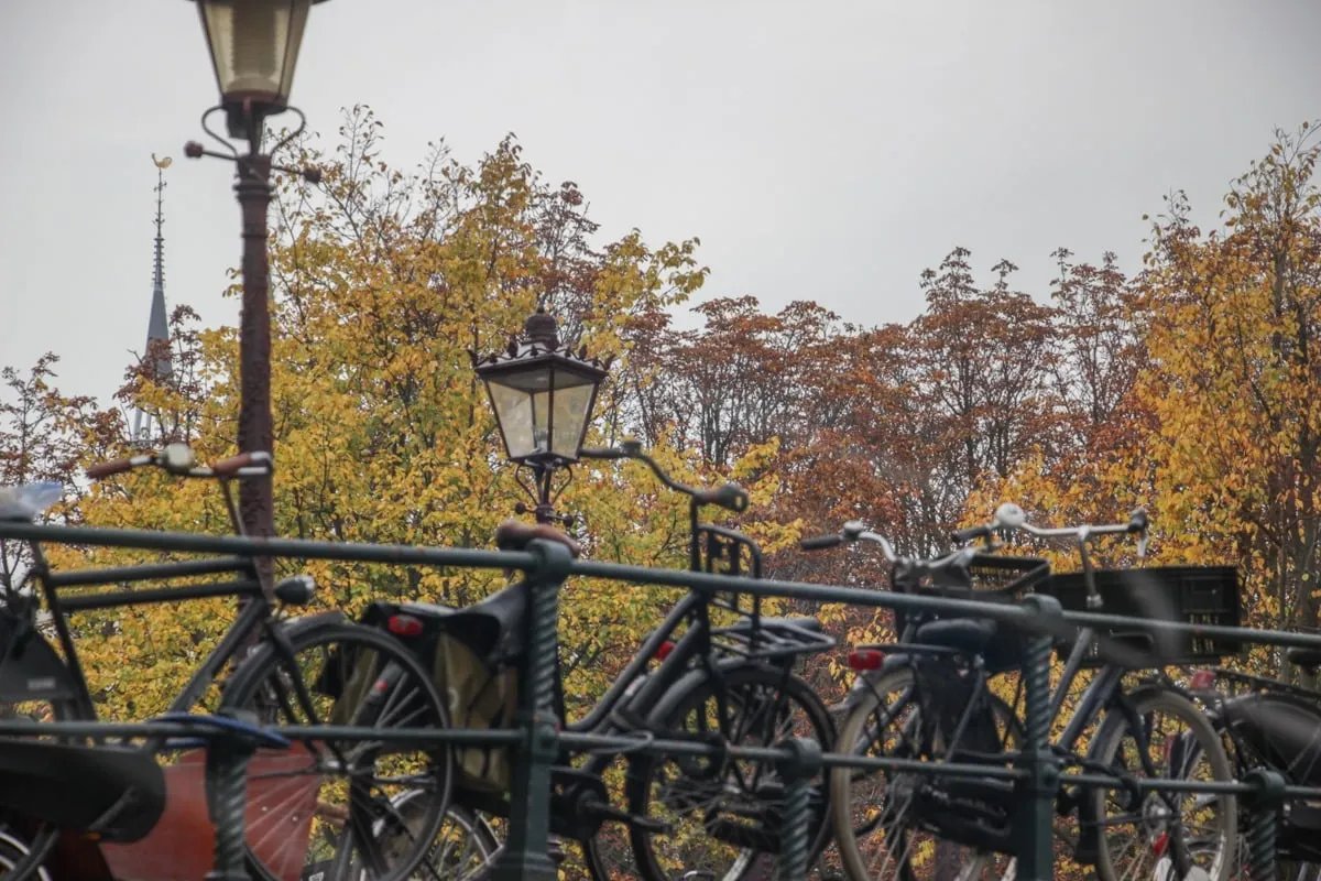 Vélos garés sur un pont avec arbres