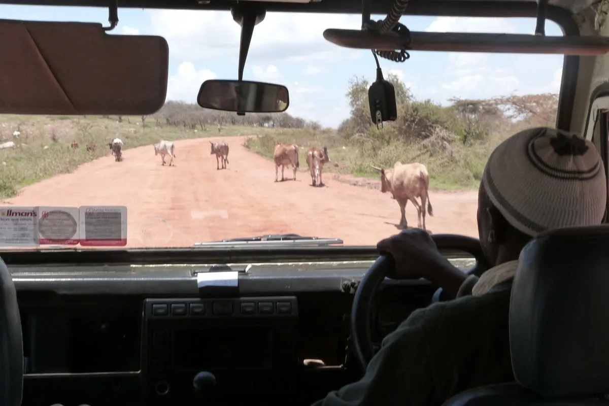 Vue depuis l'habitacle d'un 4x4 sur une piste ocre