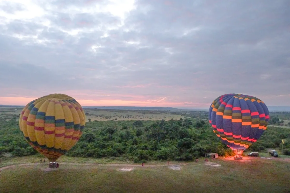 Deux montgolfières colorées au décollage sur la savane au lever du jour