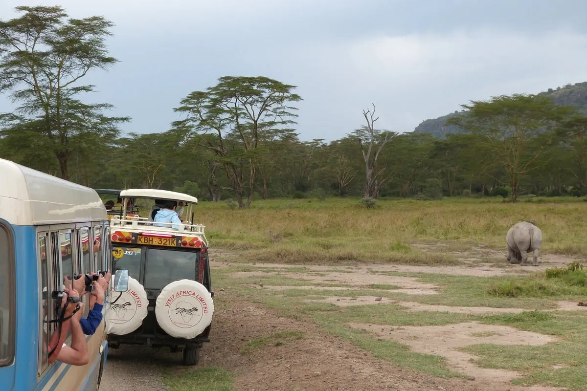 Touristes photographiant un rhinocéros depuis des véhicules de safari en savane