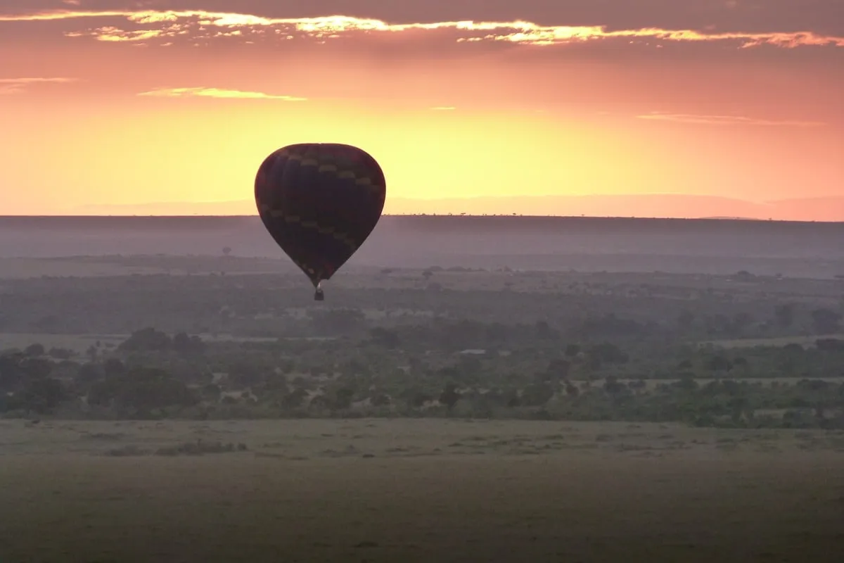 Montgolfière en silhouette devant un lever de soleil orangé sur la savane