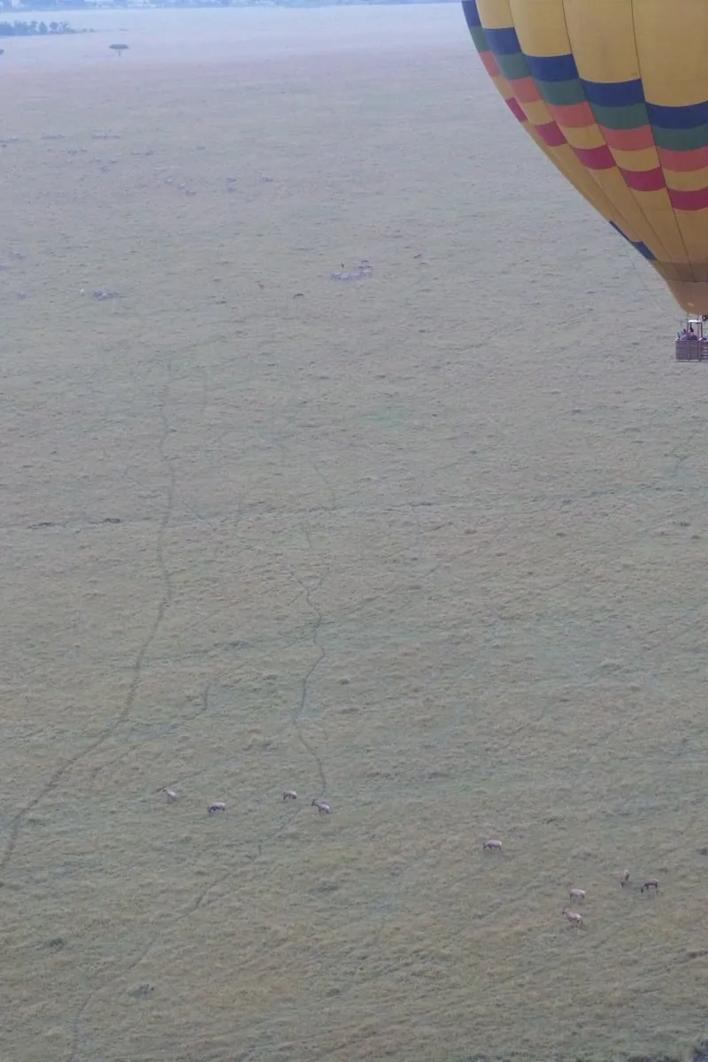 Vue aérienne d'une savane avec une montgolfière colorée au premier plan