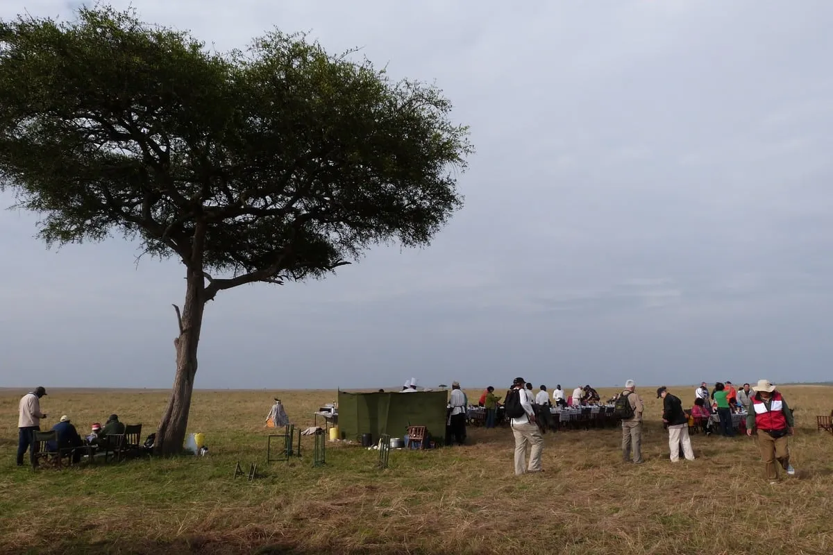Groupe de personnes attablées en pleine savane sous un acacia