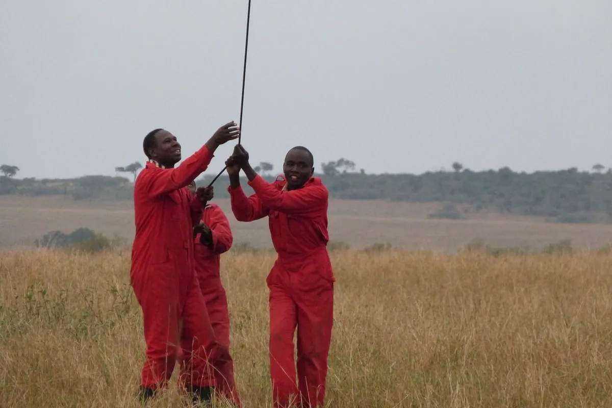 Trois hommes en combinaison rouge manipulent un câble d'attache dans la savane
