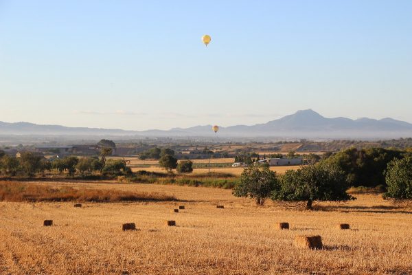 Montgolfières dans un paysage de Majorque
