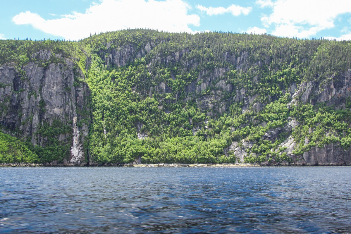 Navigation dans le fjord de Saguenay