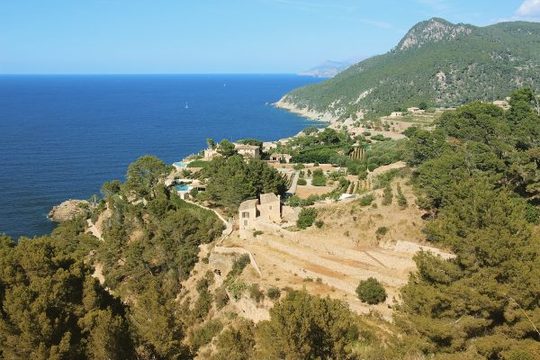 Majorque - Les cultures en terrasse sur les flancs de la Serra de Tremuntana