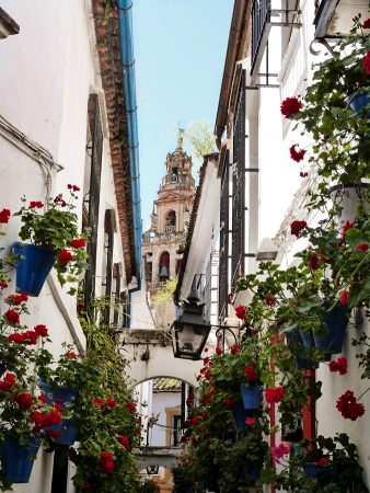 Dans les rues fleuries de Cordoue