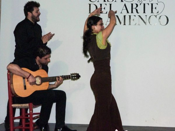 Spectacle de flamenco à Grenade