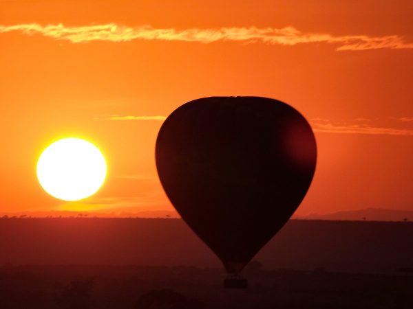 Le survol du Masai Mara en montgolfière
