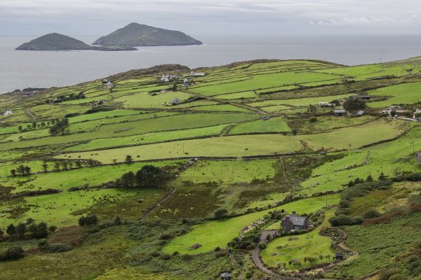 Un panorama du Ring of Kerry entre Caherdaniel et Waterville