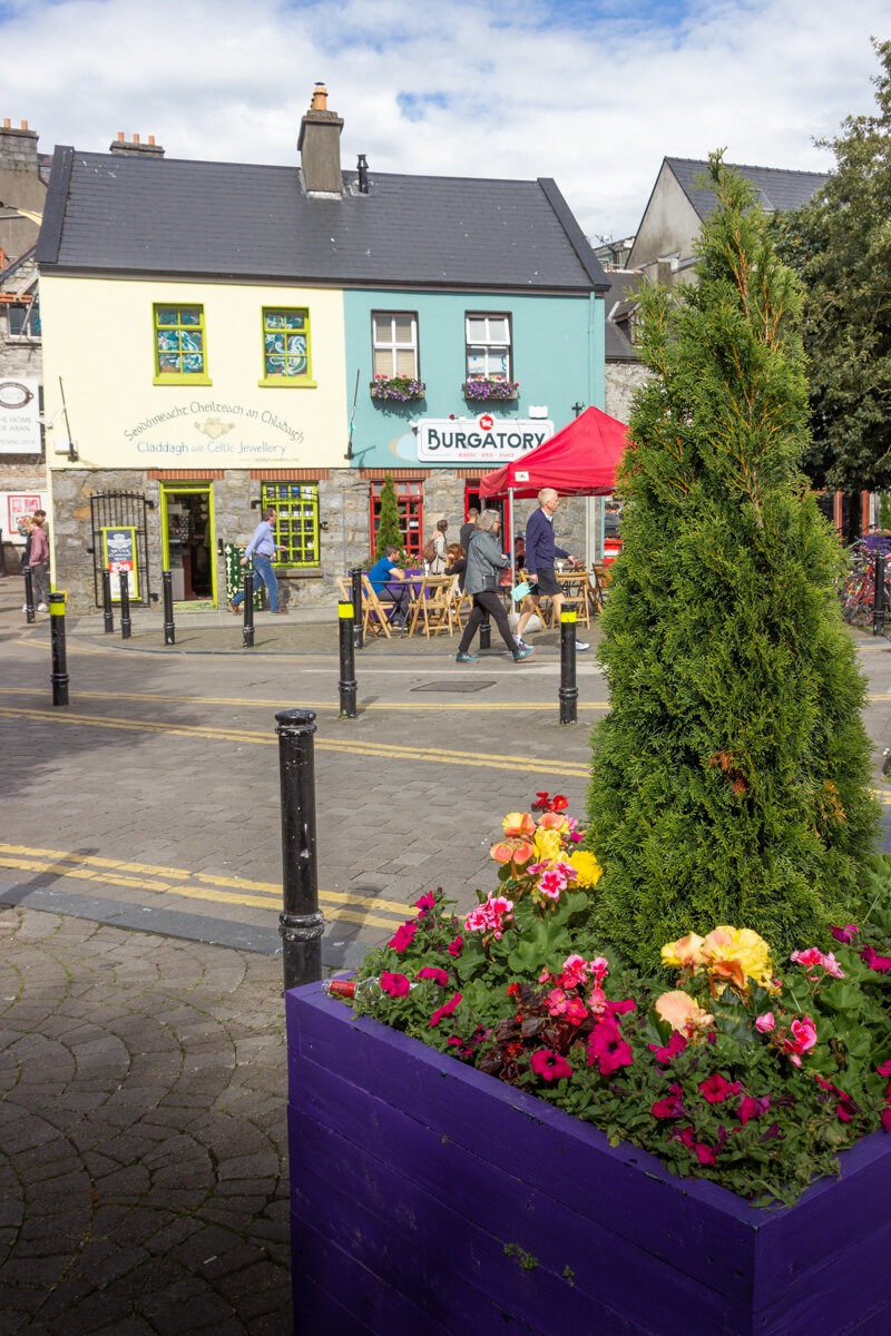 Parterre de fleurs à Galway