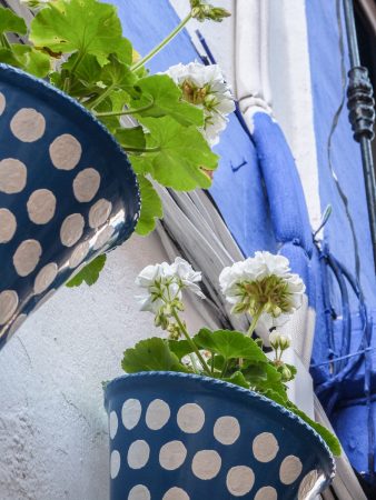 Pots de fleur dans une ruelle à Cordoue