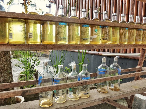 Des bouteilles d'essence à Bali