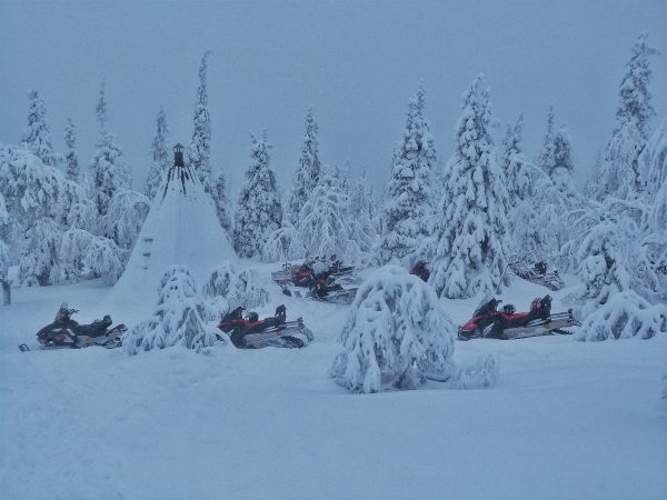 Kota dans la forêt en Laponie