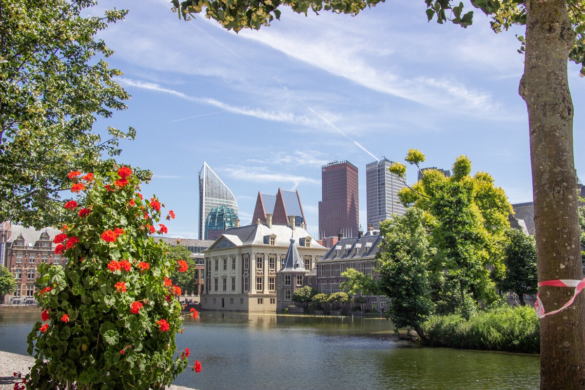 Bassin du Hofvijver à La Haye