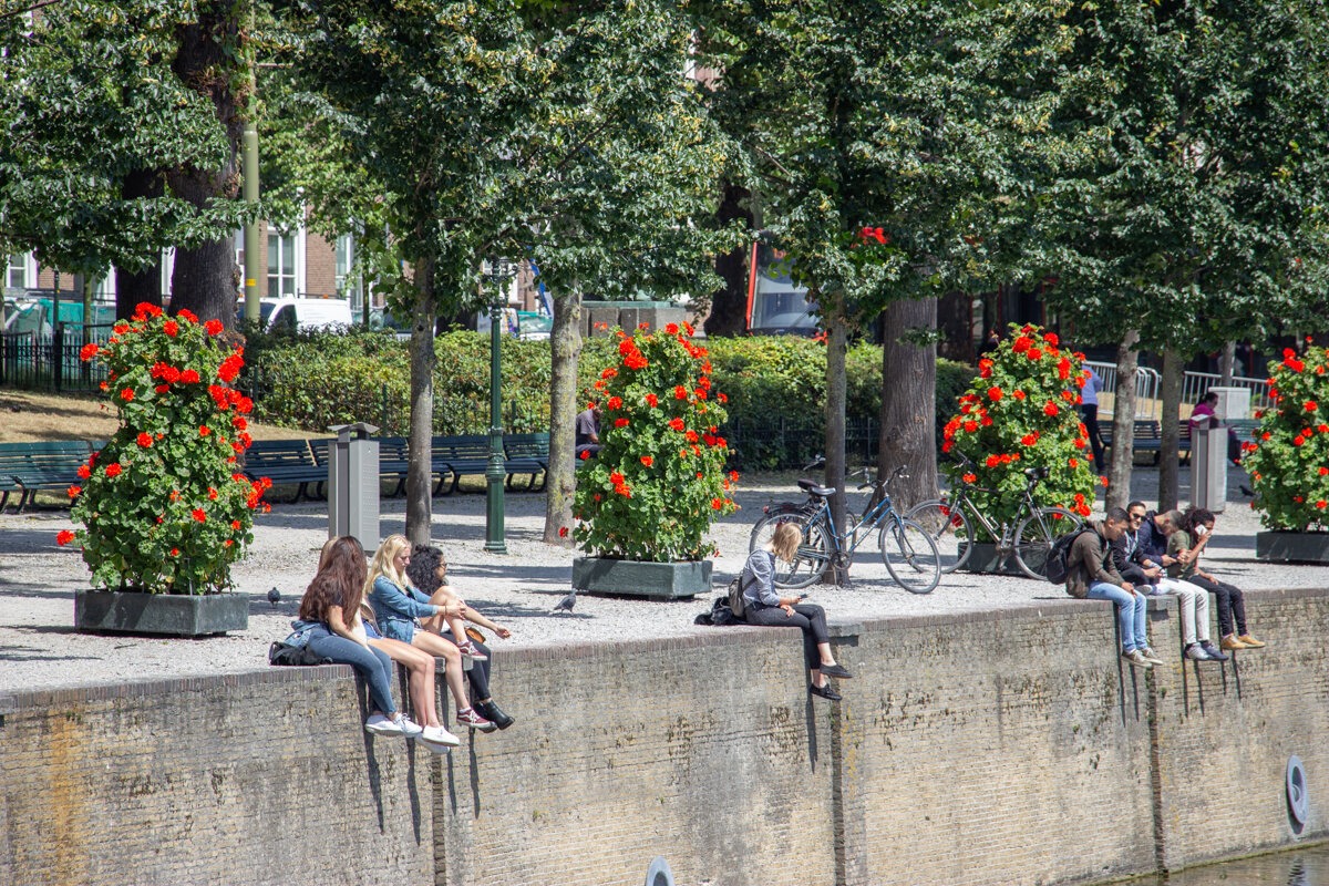 Pause du Hofvijver à La Haye