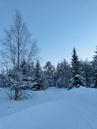 Un paysage enneigé en Laponie