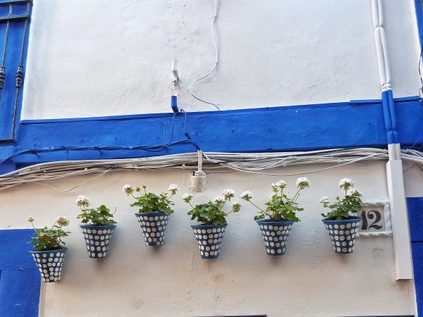 Pots de fleurs dans une rue de Cordoue