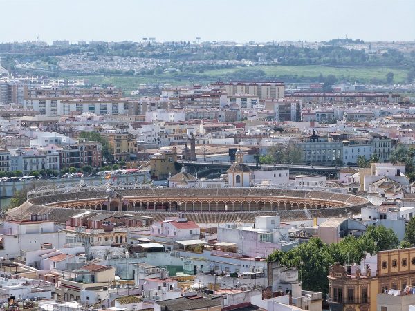 Les arènes de Séville vues depuis le sommet de la cathédrale