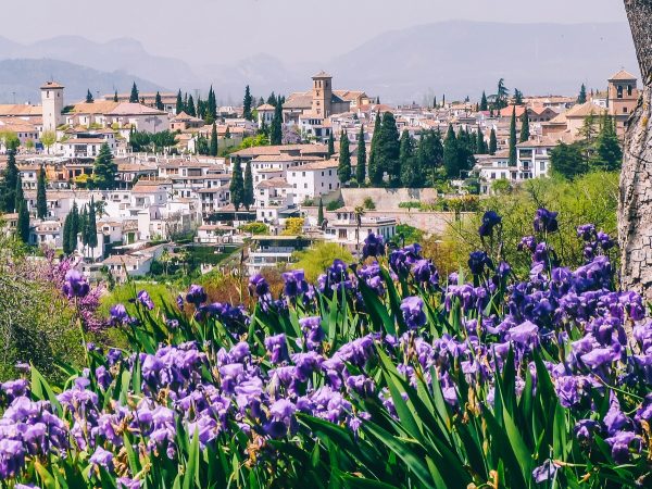 Vue sur Grenade depuis l'Alhambra