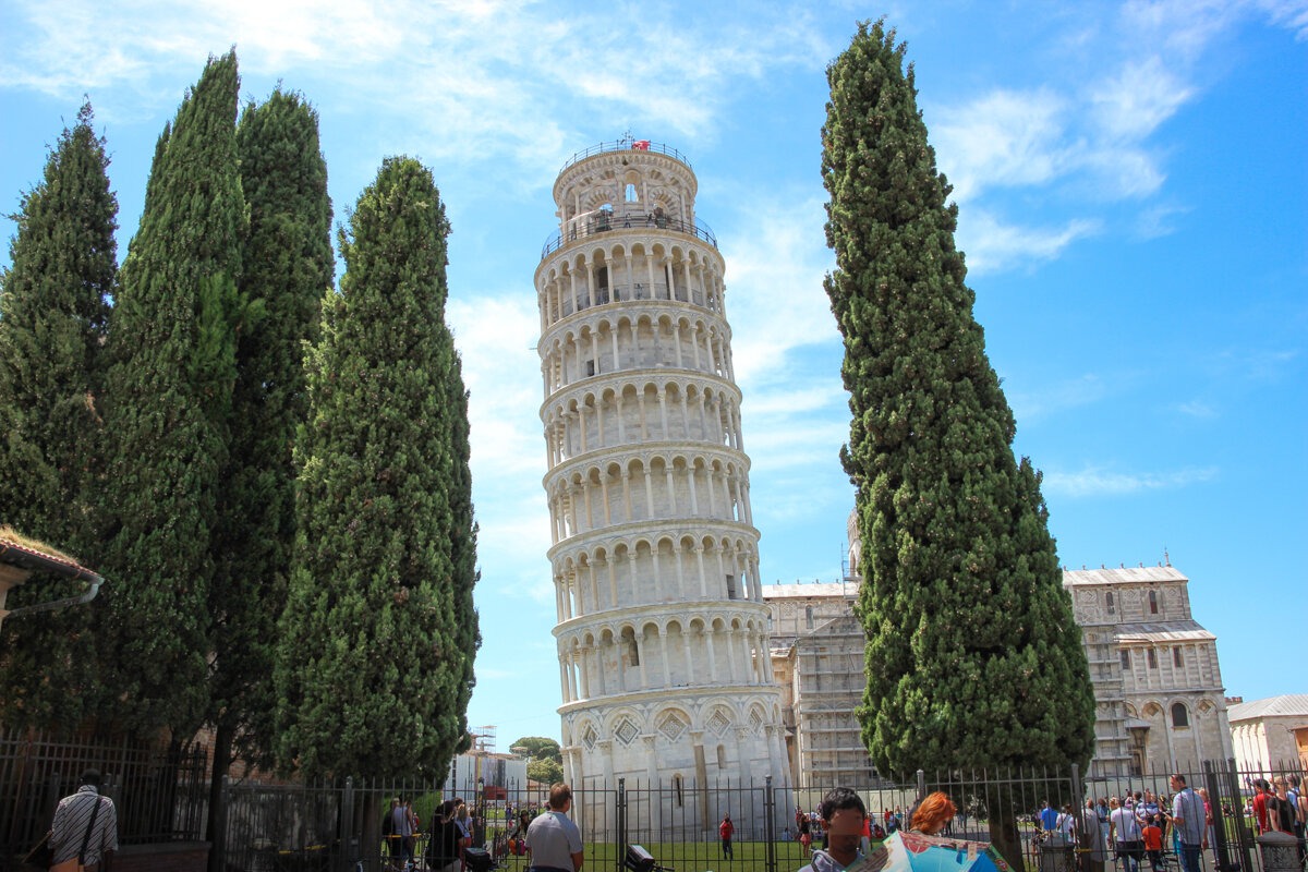 Tour de Pise derrière des cyprès